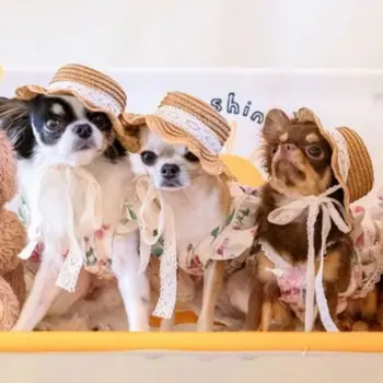 Летняя Весенняя Модная Шляпа для собак, Регулируемая Солнцезащитная кепка для кошек, Реквизит для фотосъемки, Красивые Аксессуары для домашних животных с широкими полями для пляжных путешествий